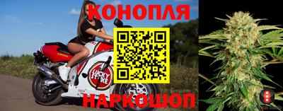 гидра Кингисепп