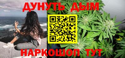 гидра Кингисепп